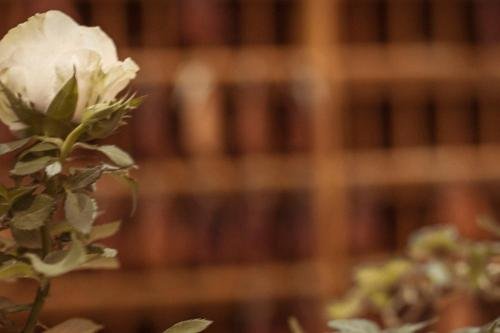 Фото Hotel Limmerhof