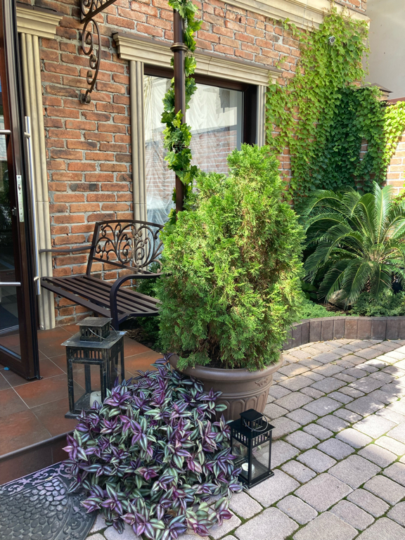 Фото Милтон