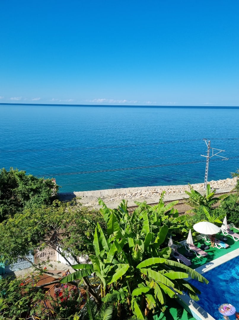 Фото Фламинго