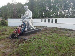Мемориал Великой Отечественной войны и братская могила (Tula Region, gorodskoy okrug Aleksin, derevnya Borisovo), monument, memorial