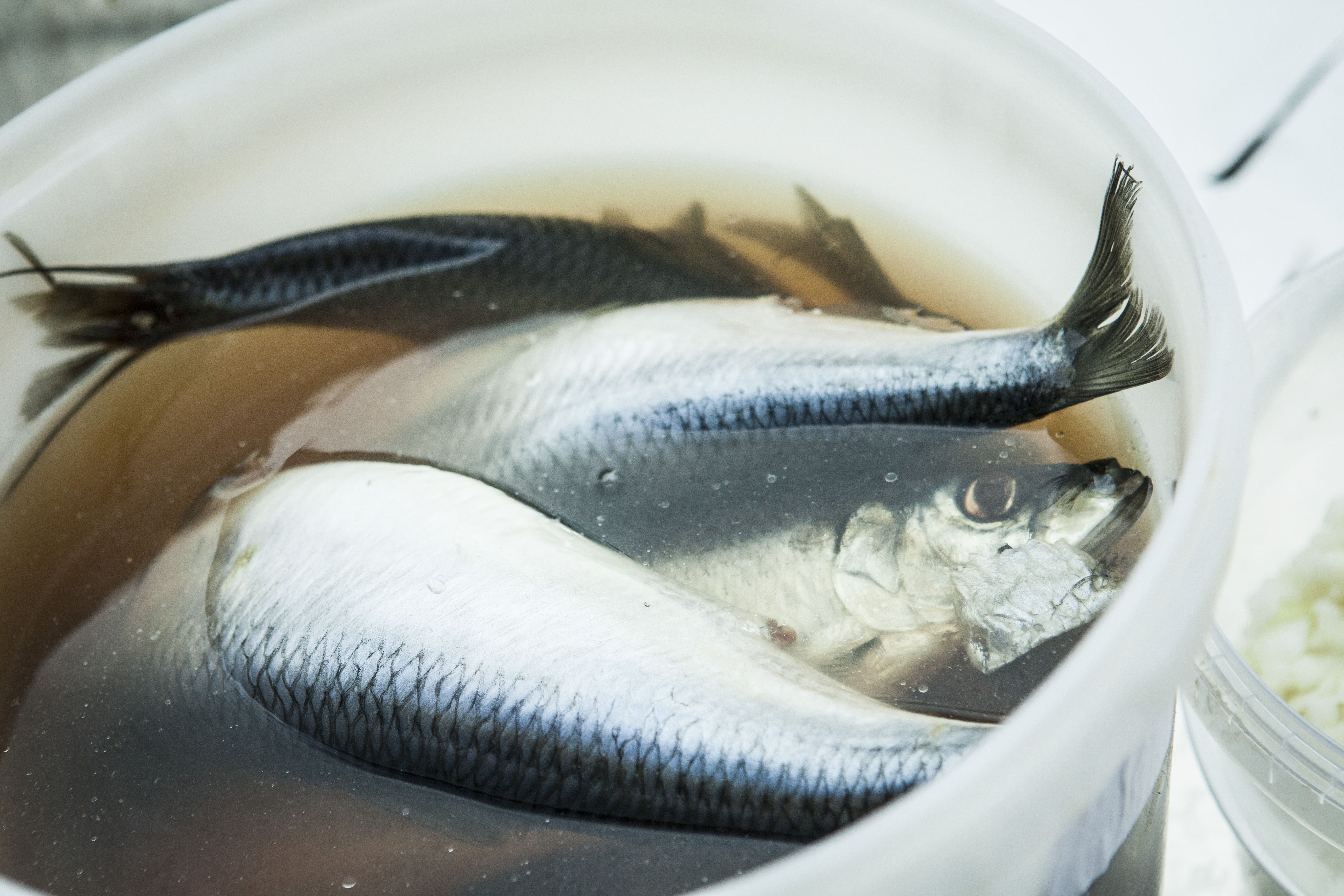 Фото Fisch Herberg Сельдь Царский Посол