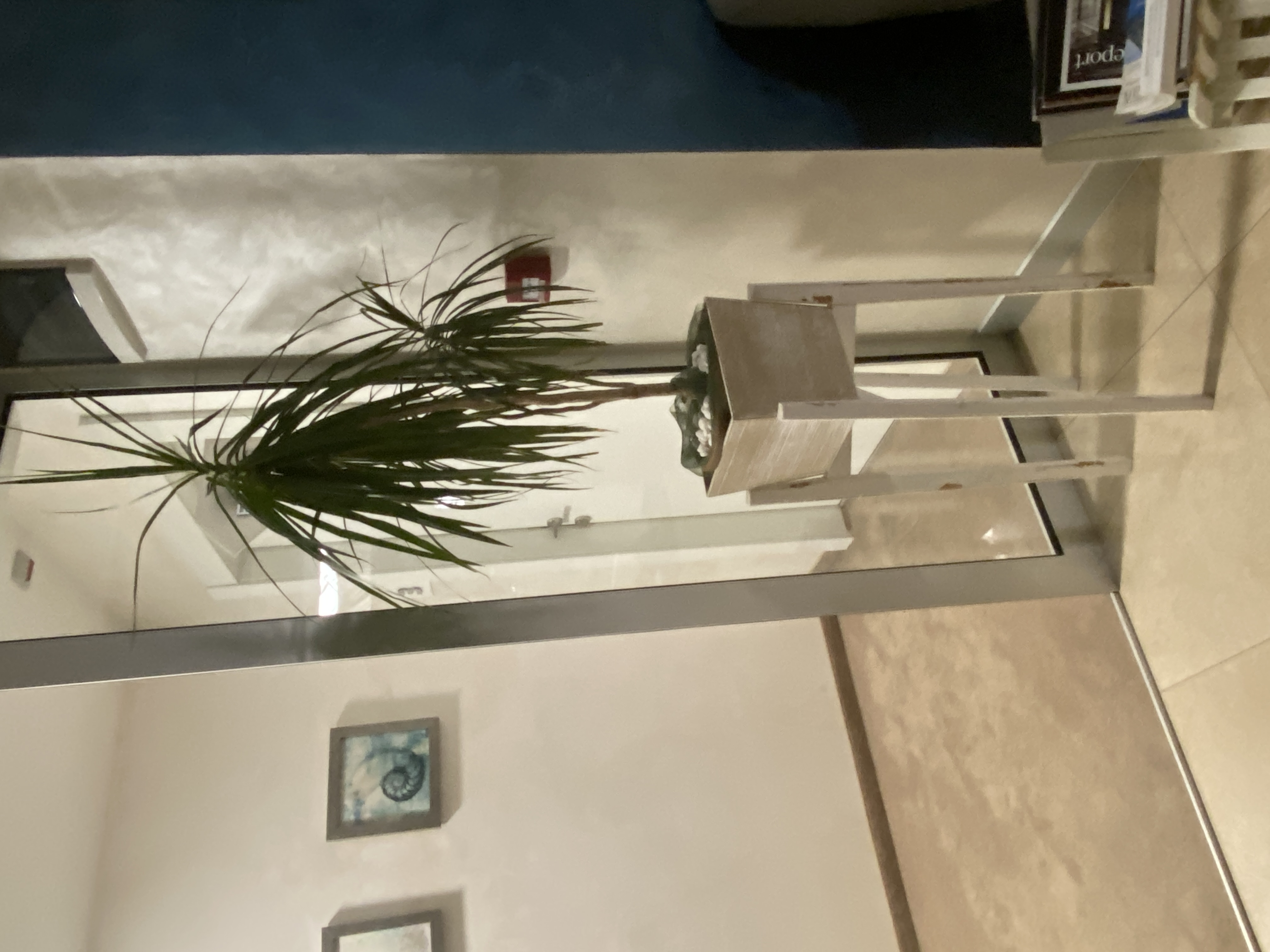 Фото Hotel Hermes