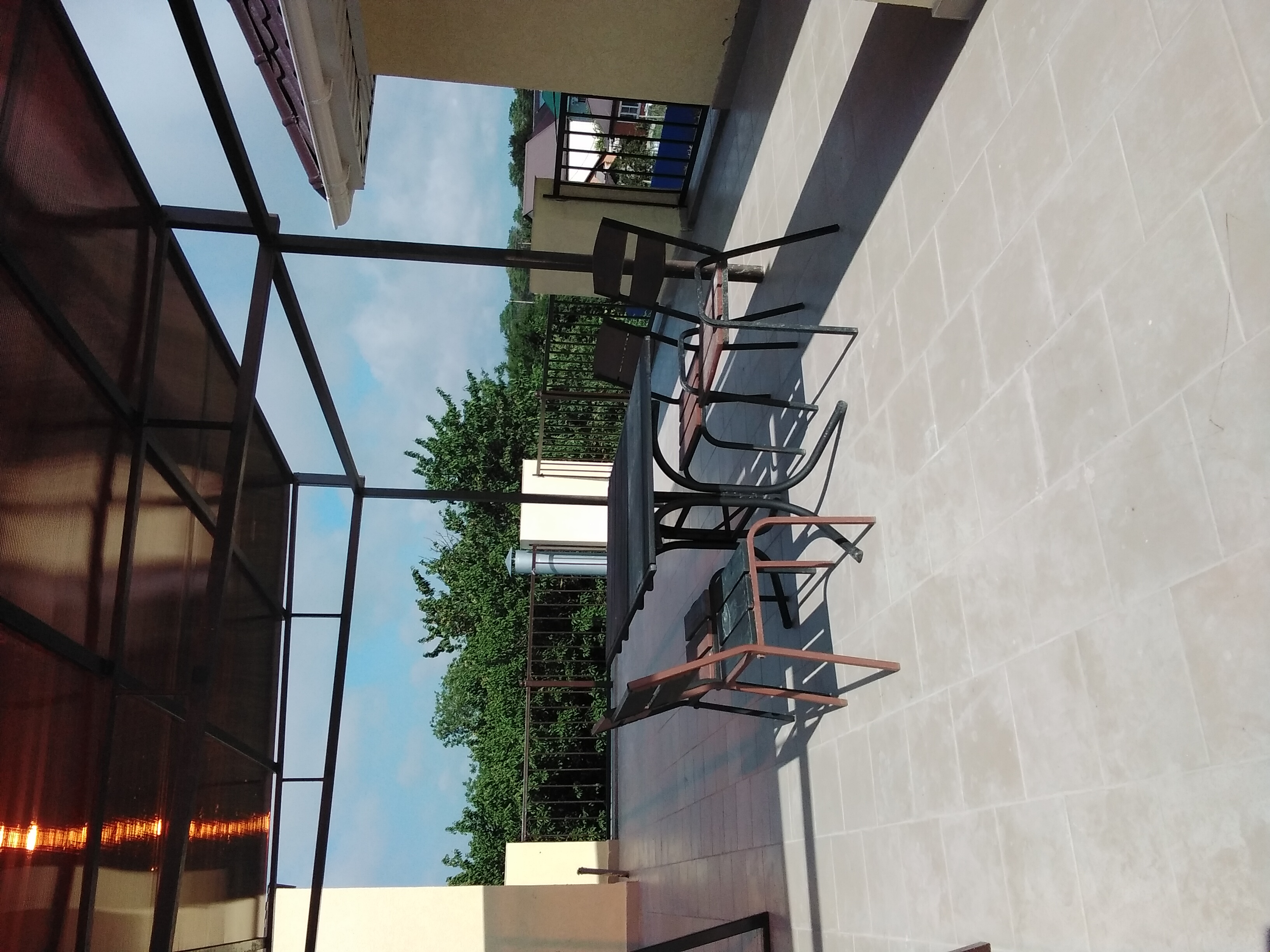 Фото Кипарис