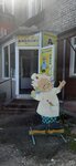 Айболит (ulitsa Lenina, 44), pet shop