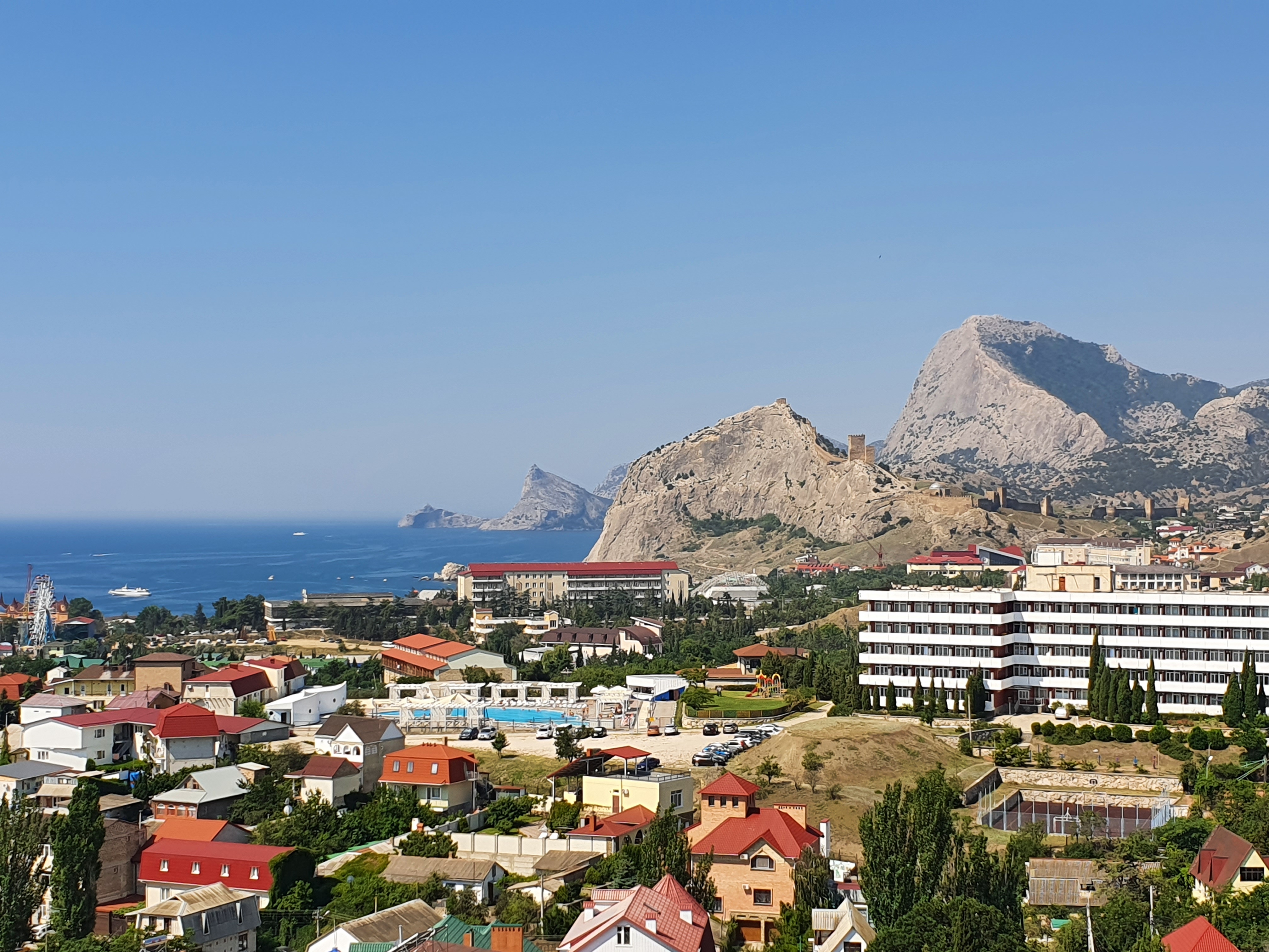 Фото Белый лев