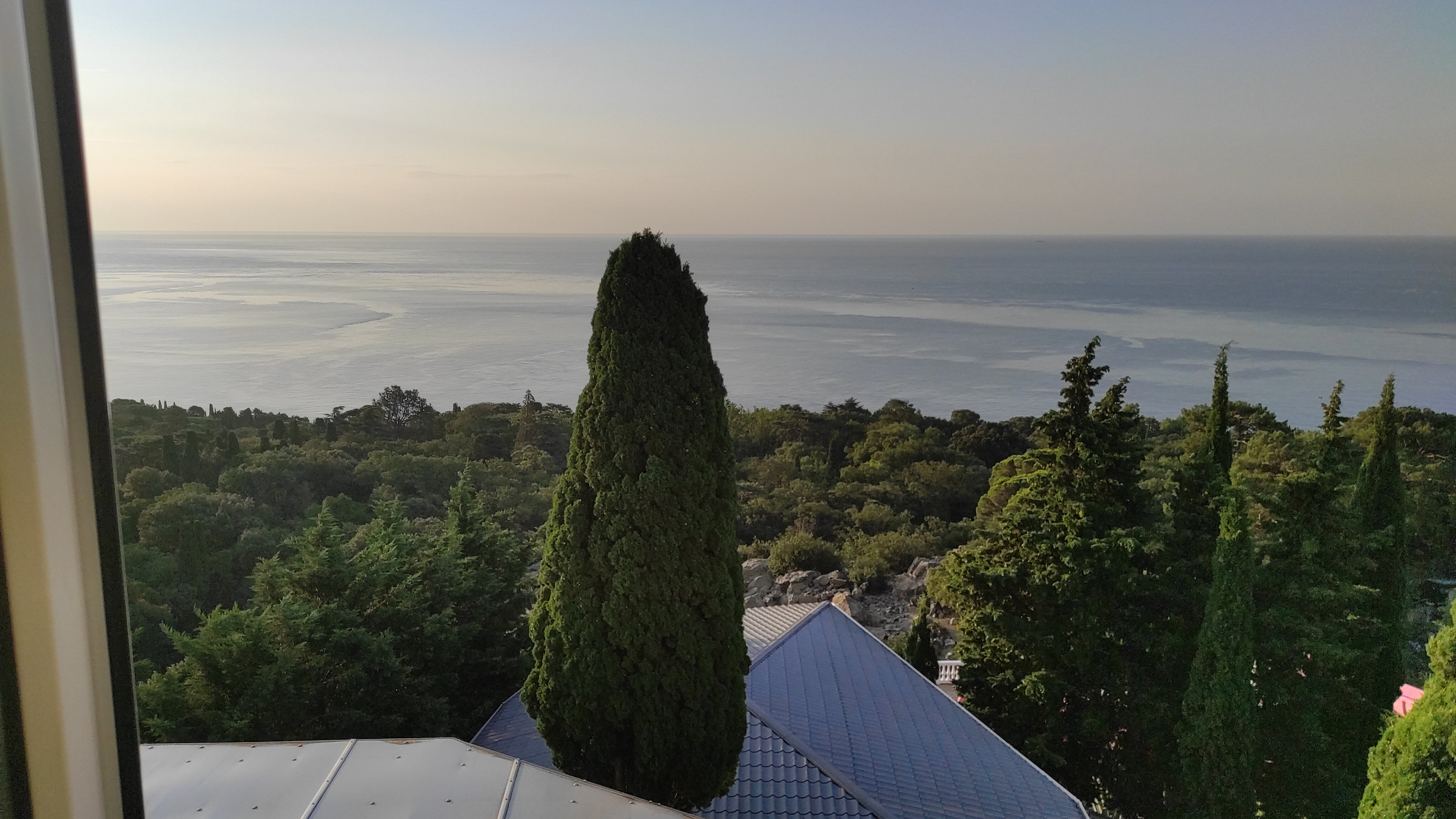 Фото Алубика