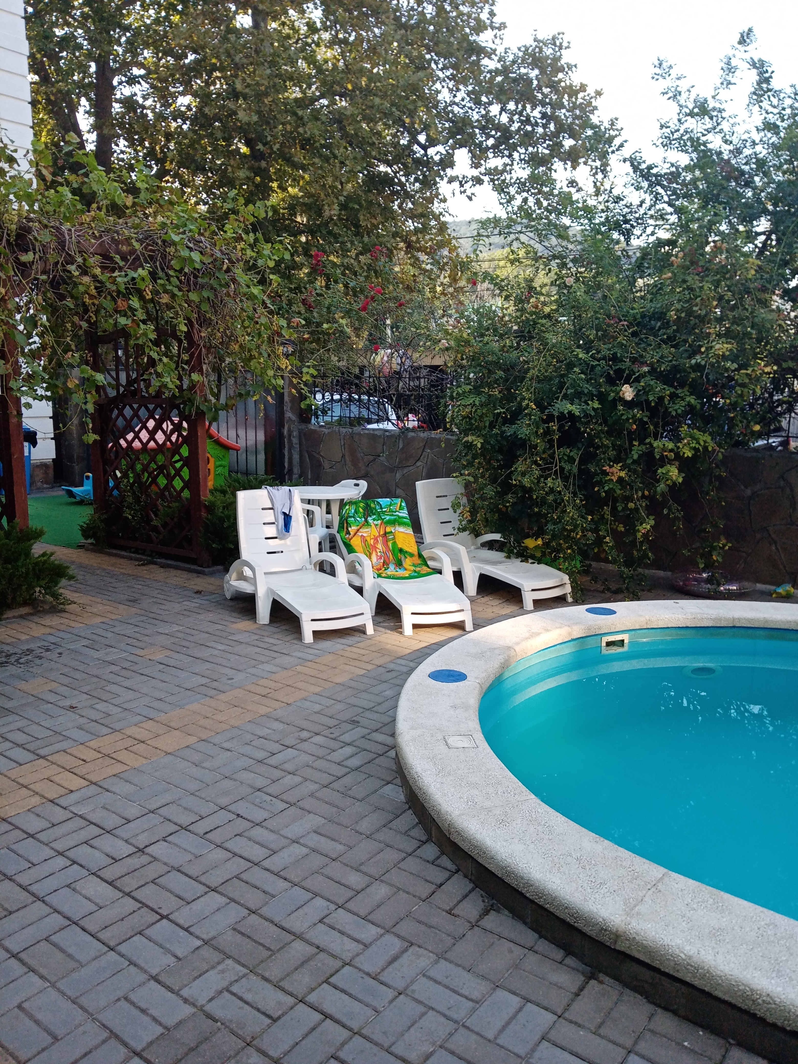 Фото Золотой Каштан