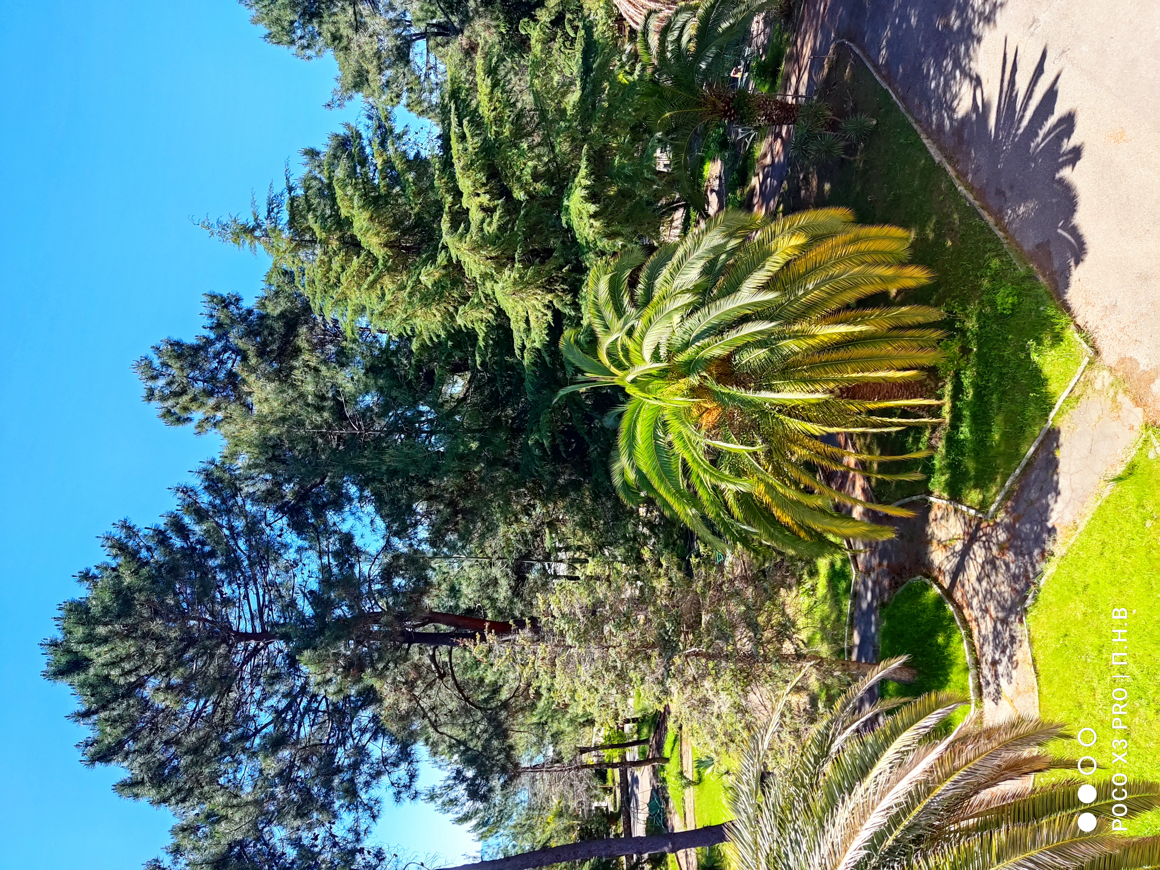 Фото Золотые пески