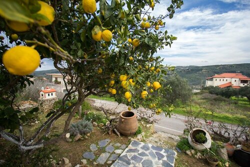 Гостиница Traditional Family Cretan Home!
