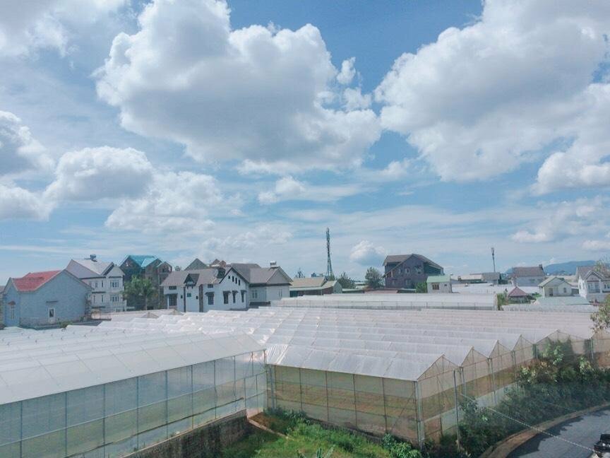 Hotel Khach s¡n Ph°¡ng Nguyen, Dalat, photo