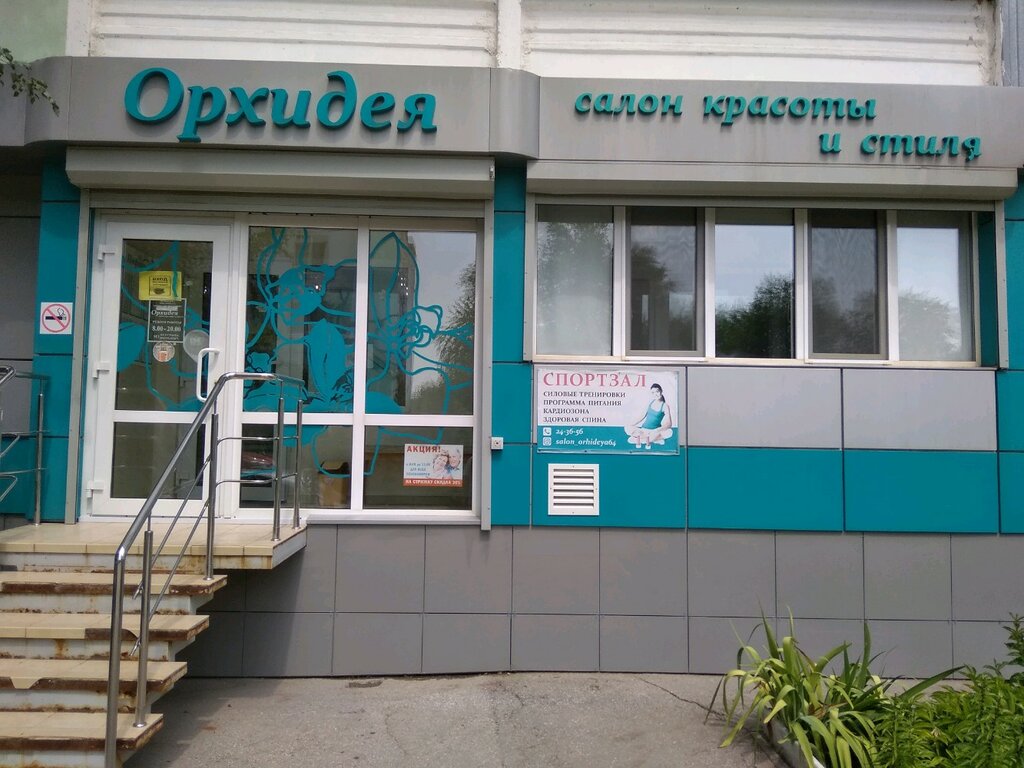Орхидея ул баскакова 14 фото
