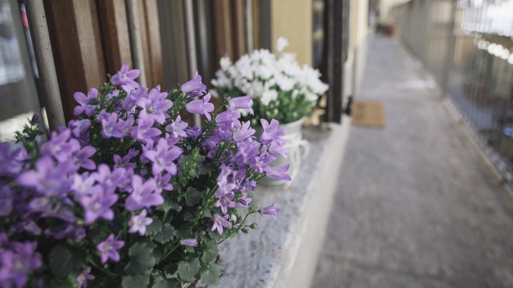 Фото Italianway-Corso San Gottardo 16