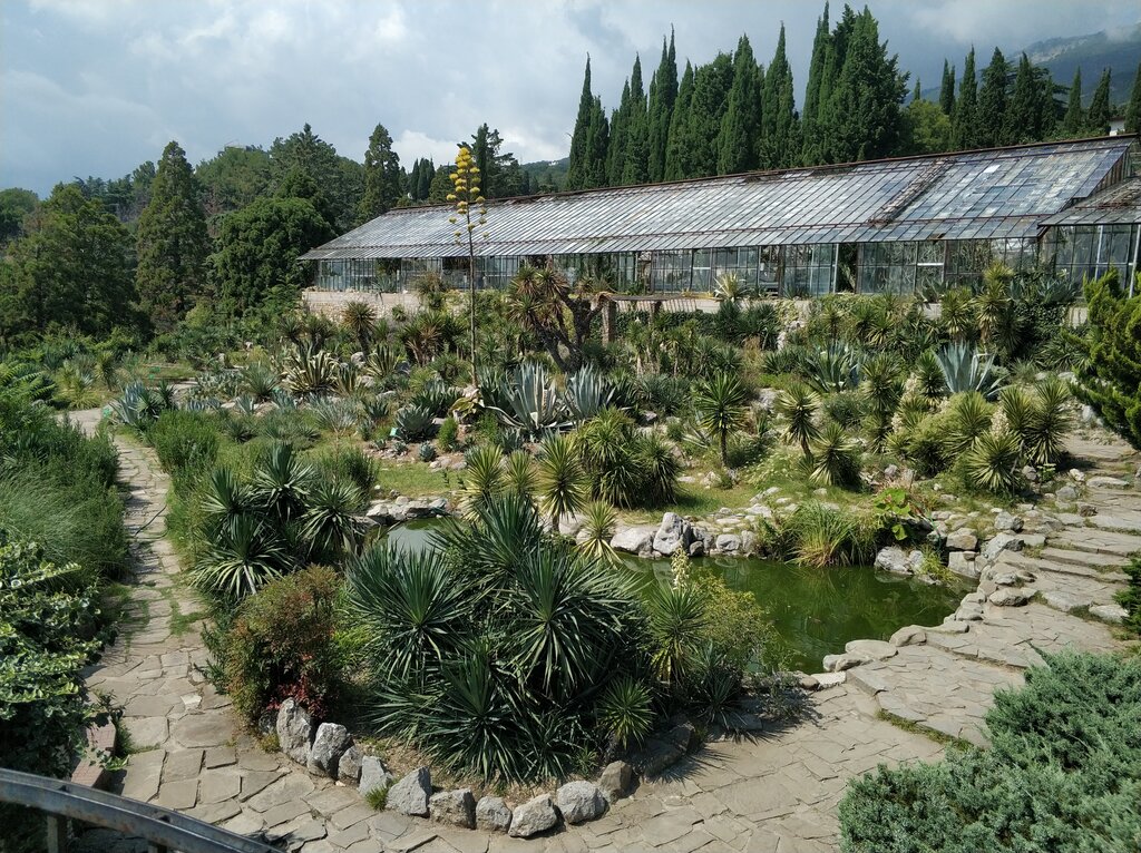 Landmark, attraction Кактусовая аллея, Republic of Crimea, photo