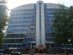 Кадастровые Решения (Moskovskiy Avenue, 17с1), cadastral works