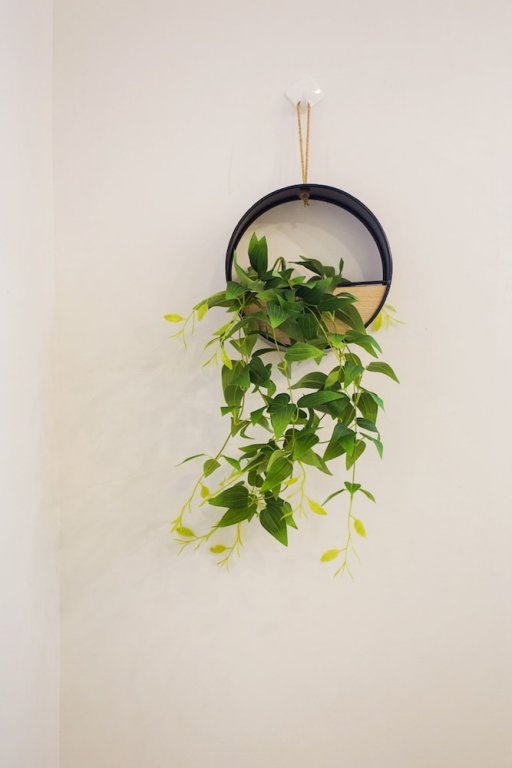 Фото This Studio