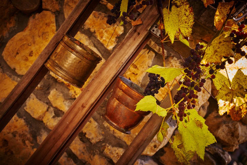 Фото Шале Заимки