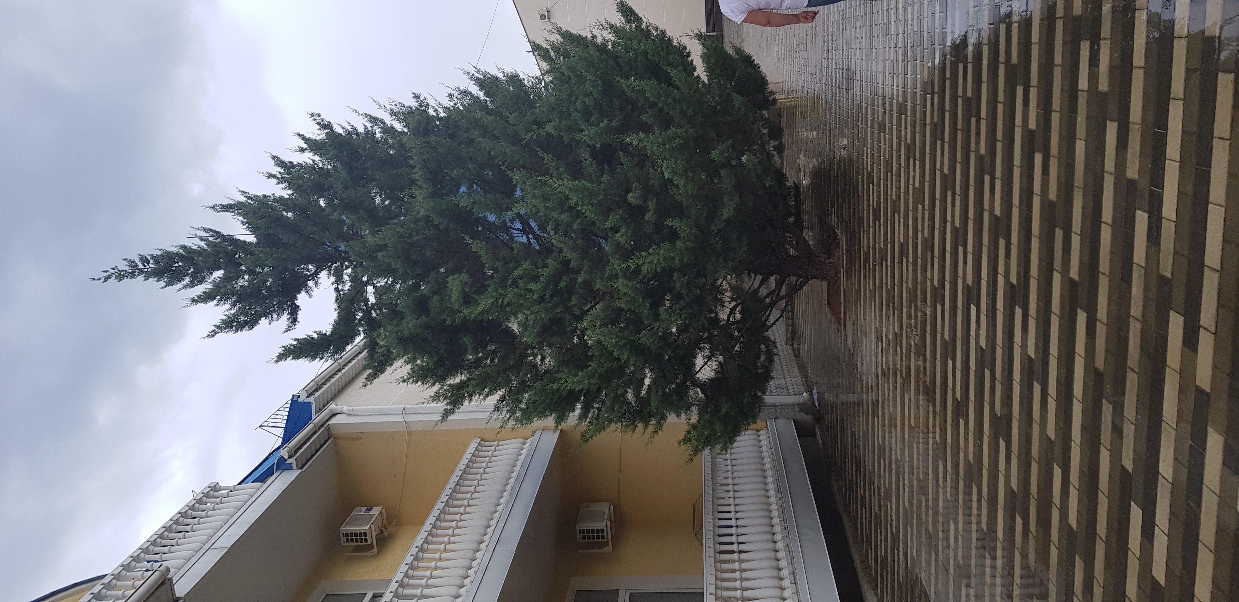 Фото Юлиана