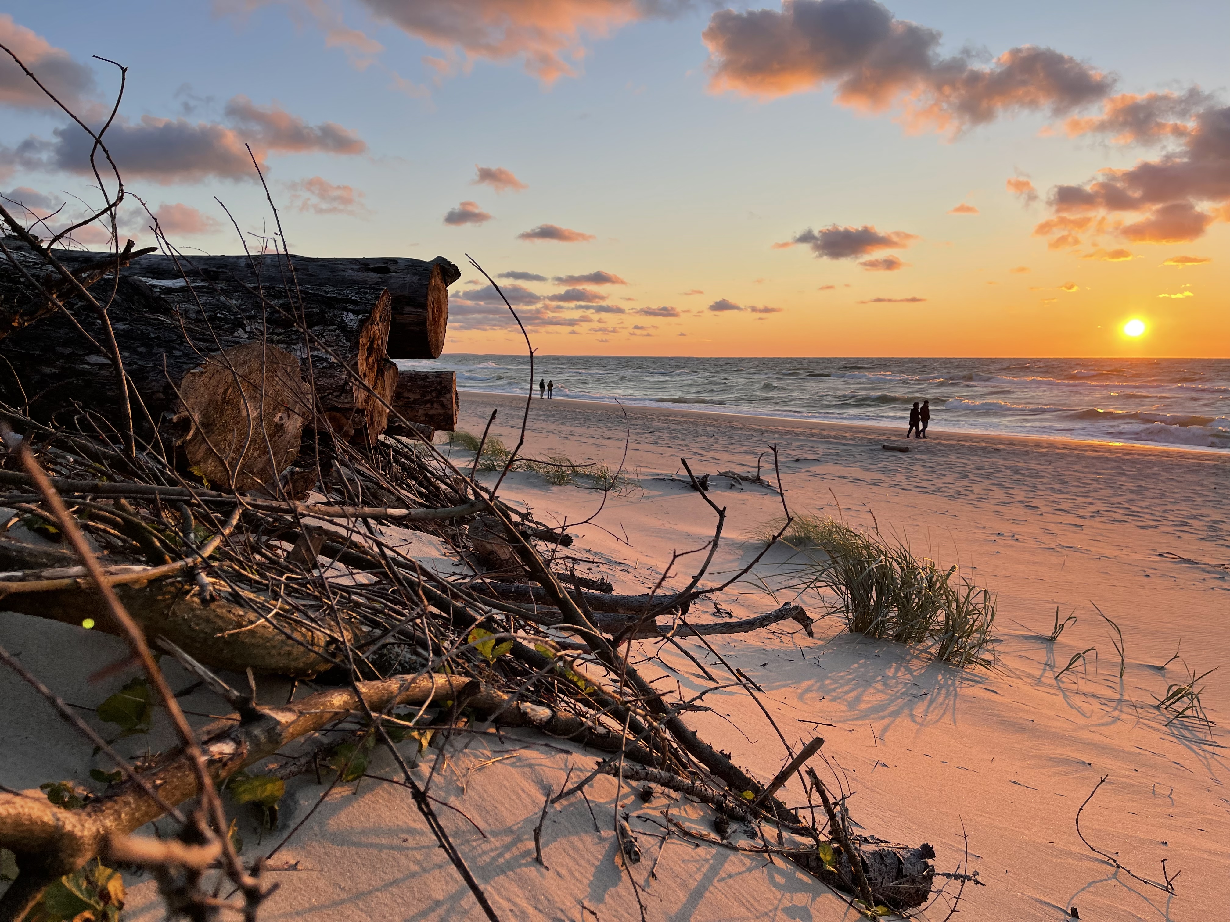 Фото Polyana Glamping