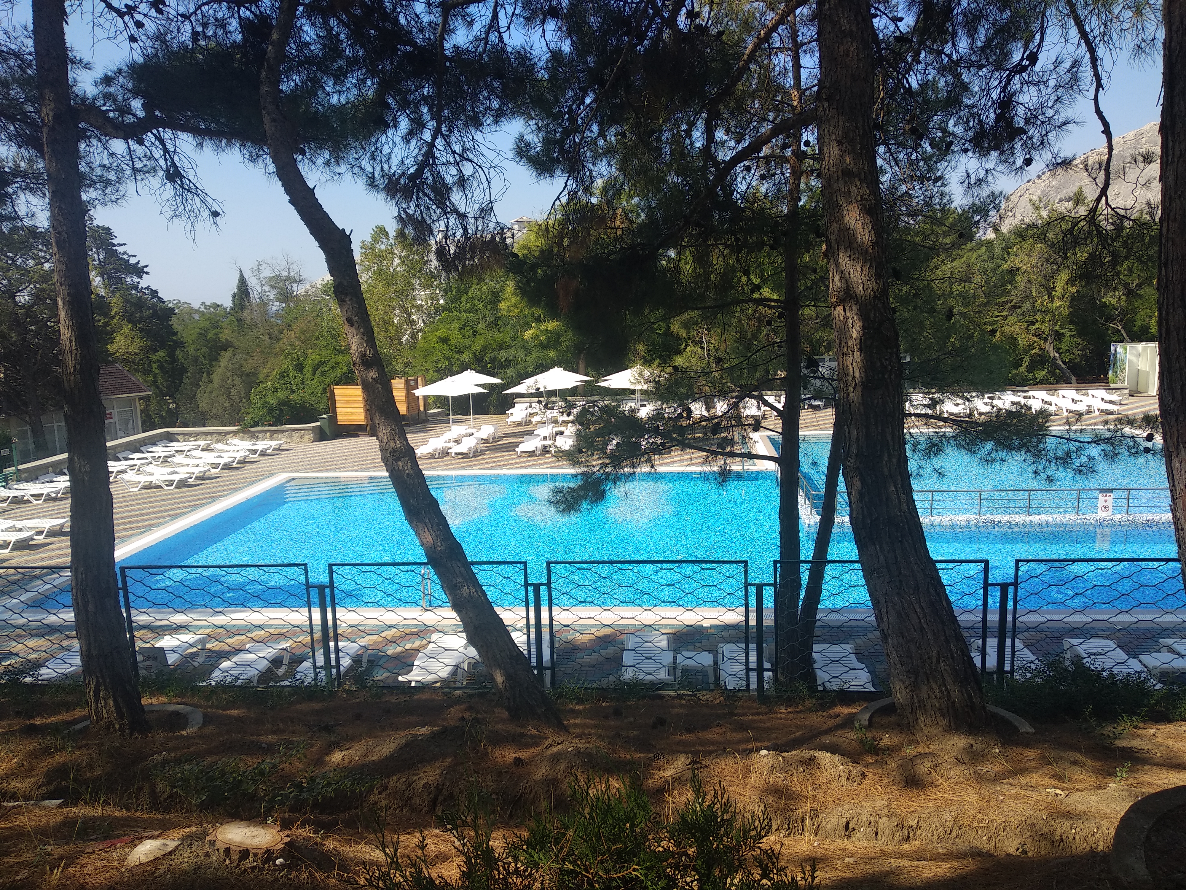 Фото ТОК Судак