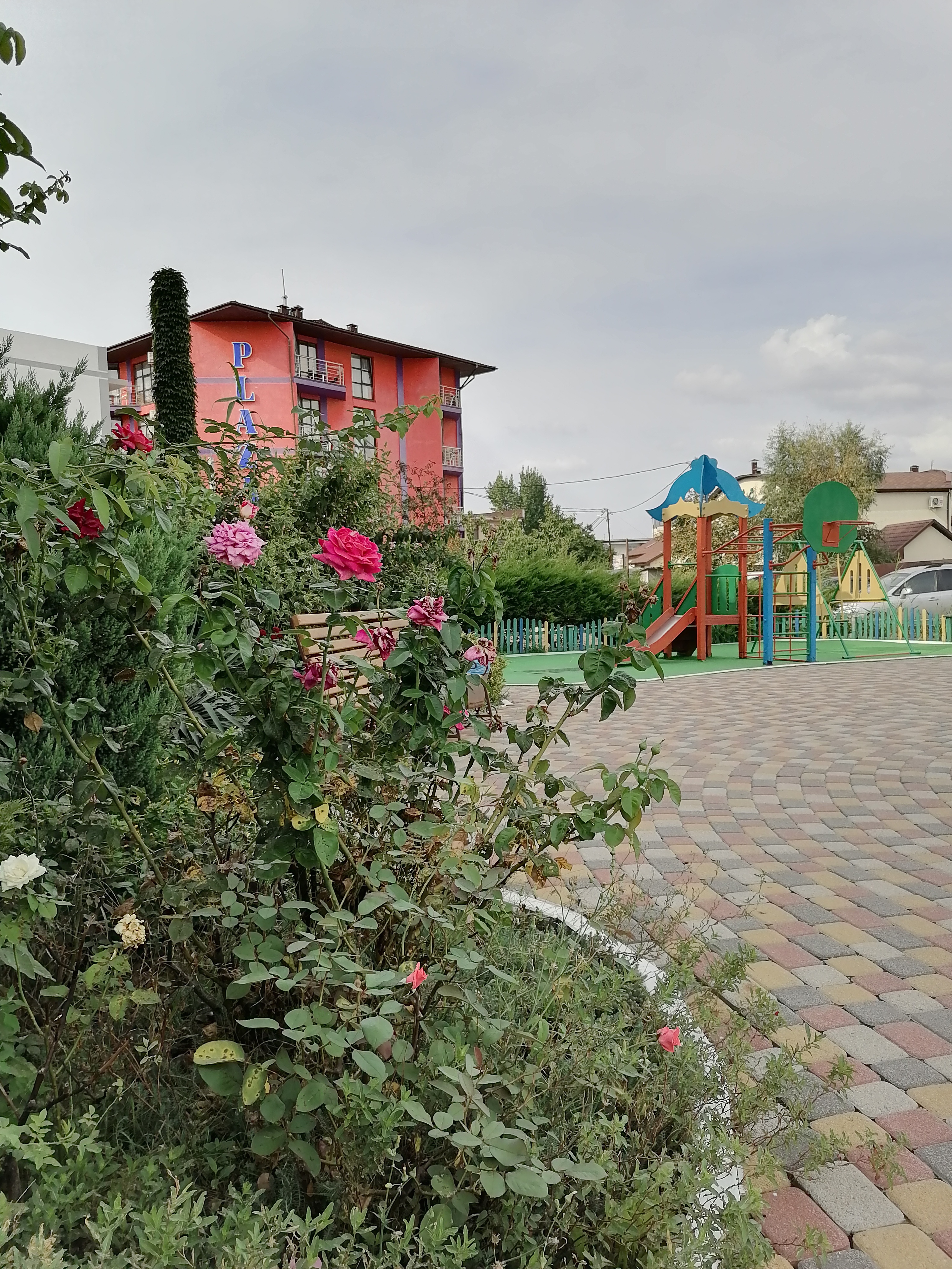 Фото Бумеранг