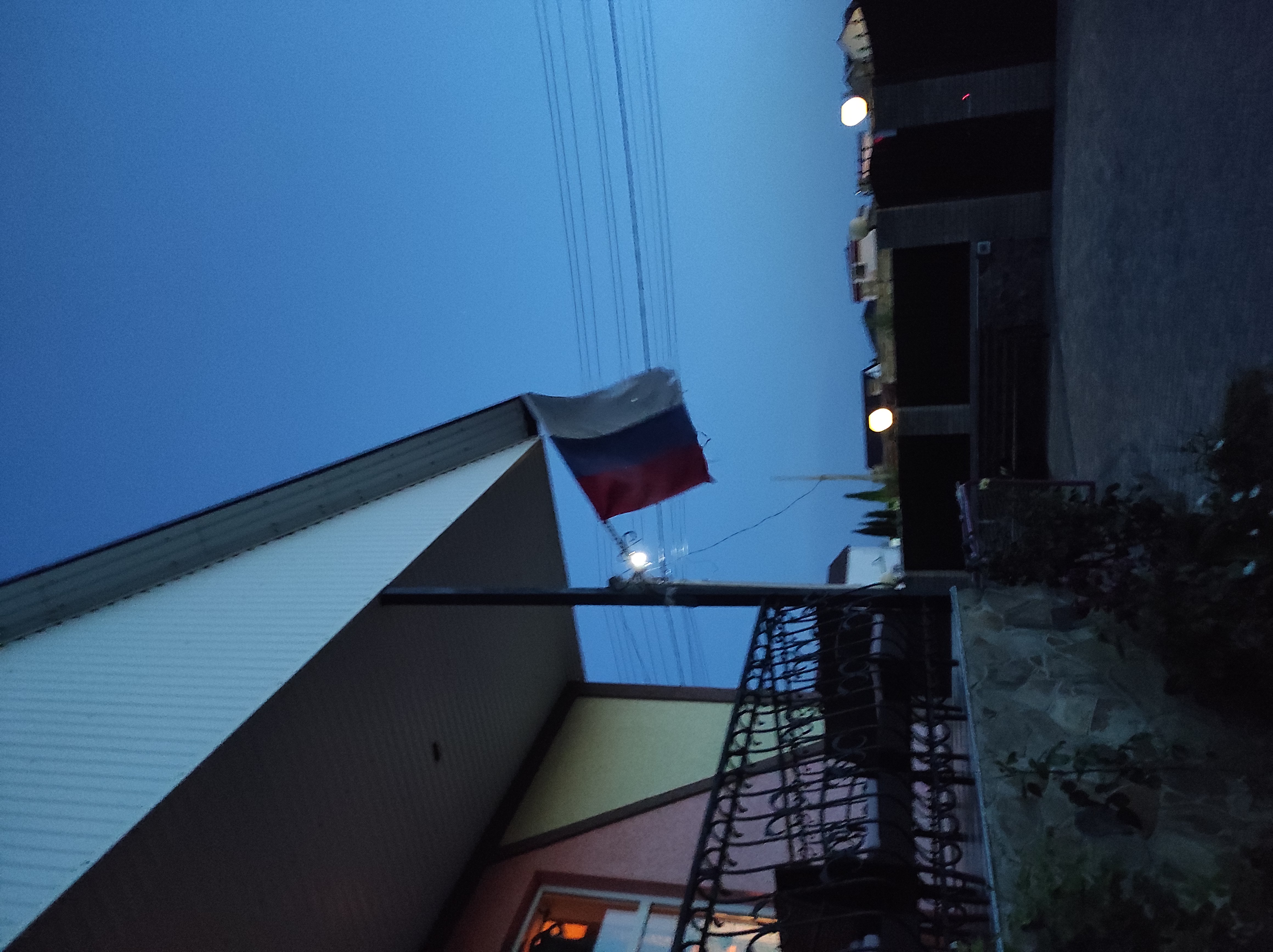 Фото Муравейник