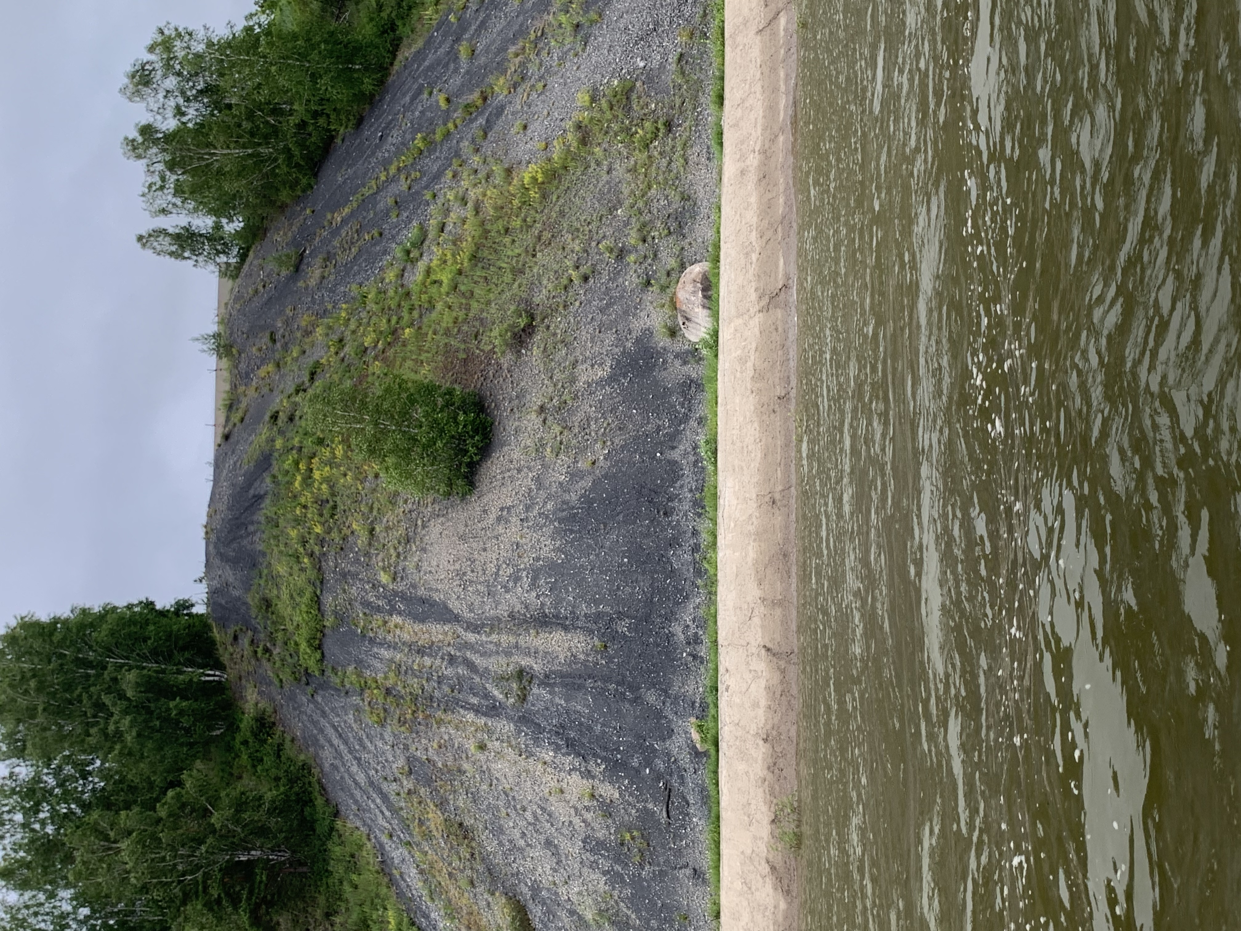 Фото Заимка Рыбная