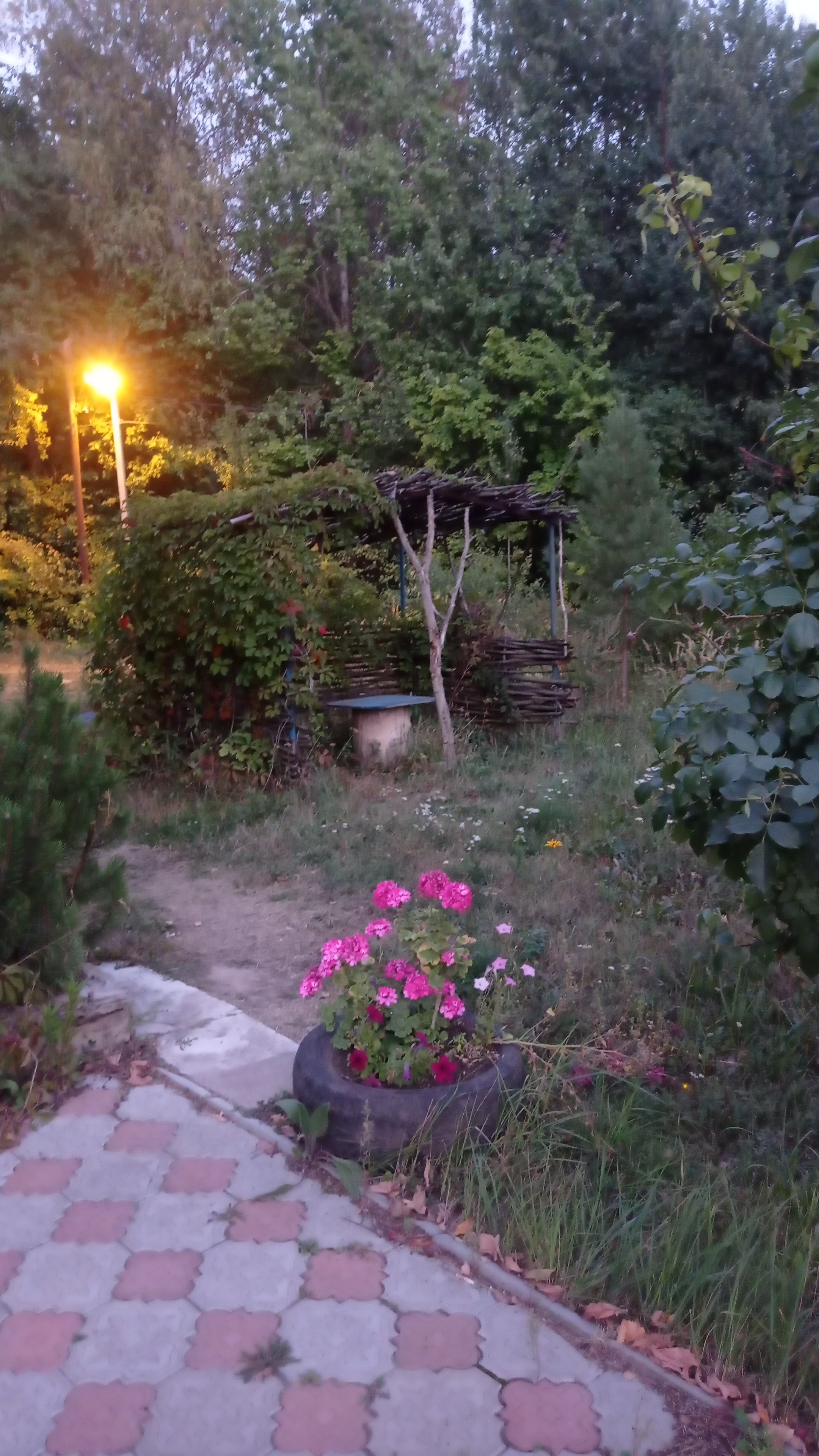 Фото Дубрава