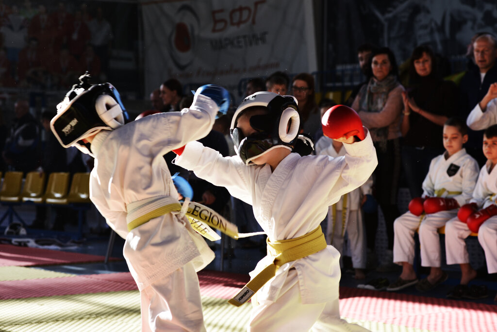 Sports club Sk Legion - martial arts for children, Minsk, photo