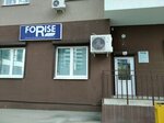 Force Group (Moskovskoye Highway, 29) ، منتجات نباتية ومكملات غذائية