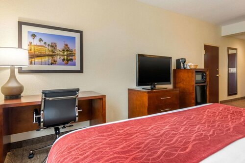Гостиница Comfort Inn & Suites Clearwater - St Petersburg Carillon Park в Клируотере