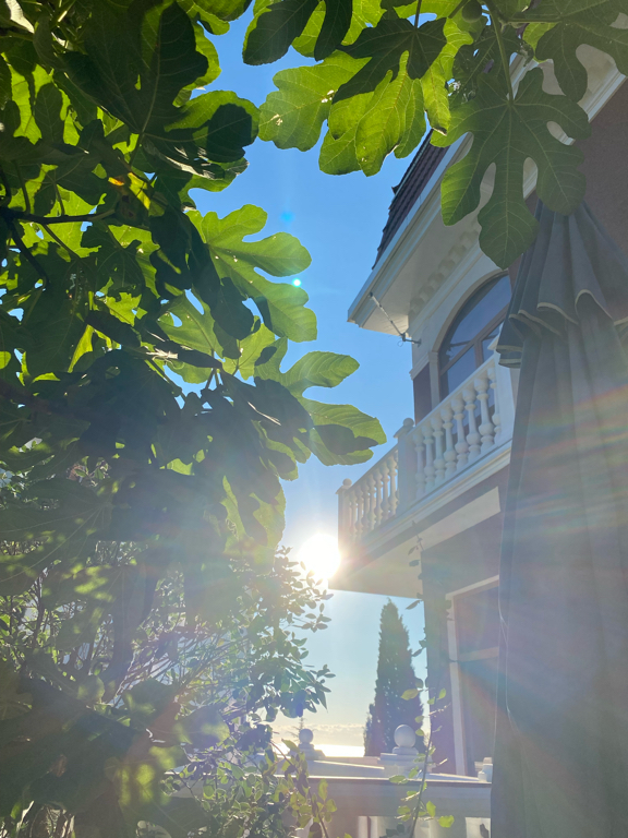 Фото Усадьба Сад