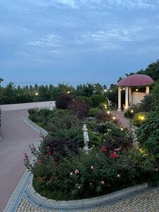 Крыжовник