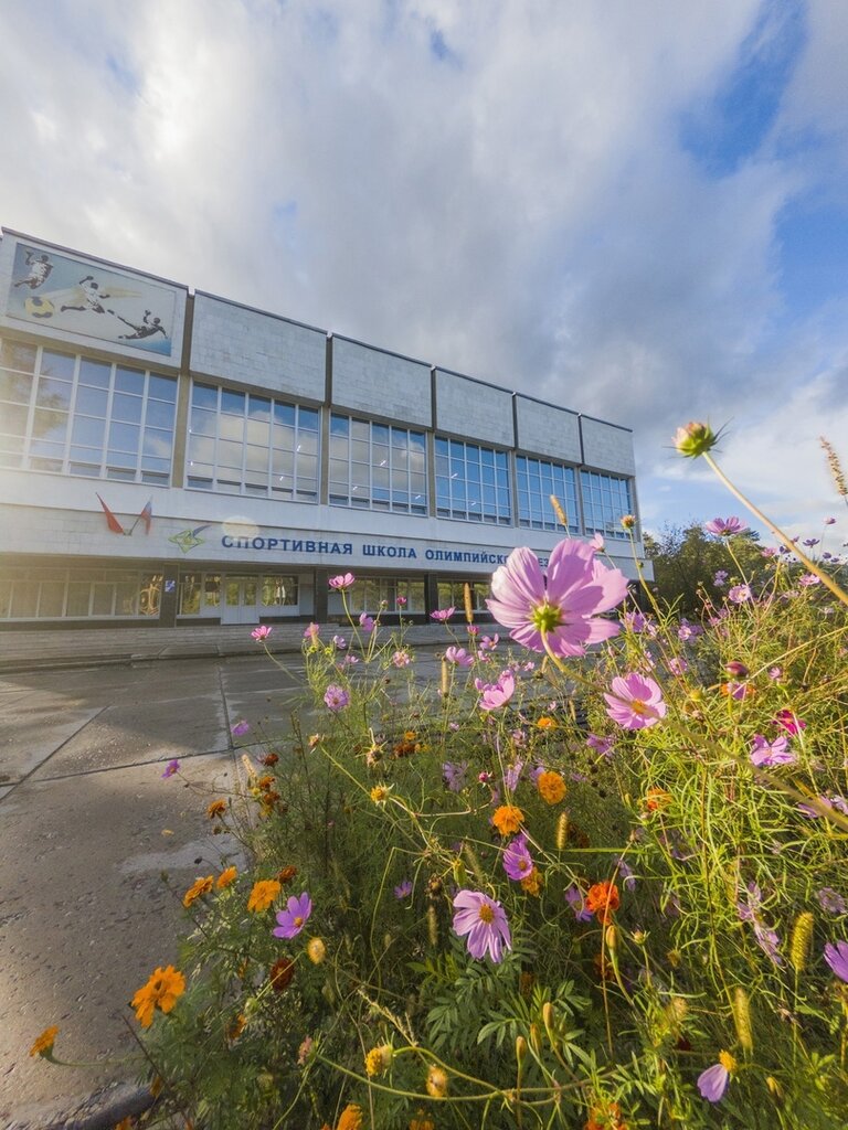 Sports school Спортивная школа Протвино, Protvino, photo