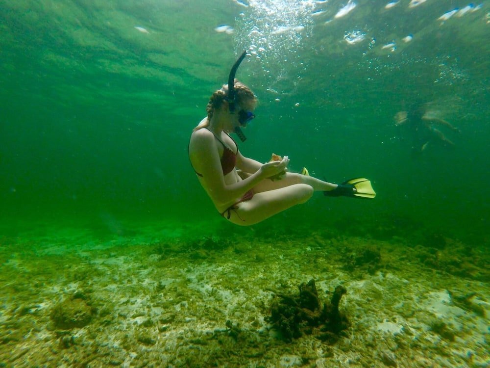 Фото Angel Fish Cove