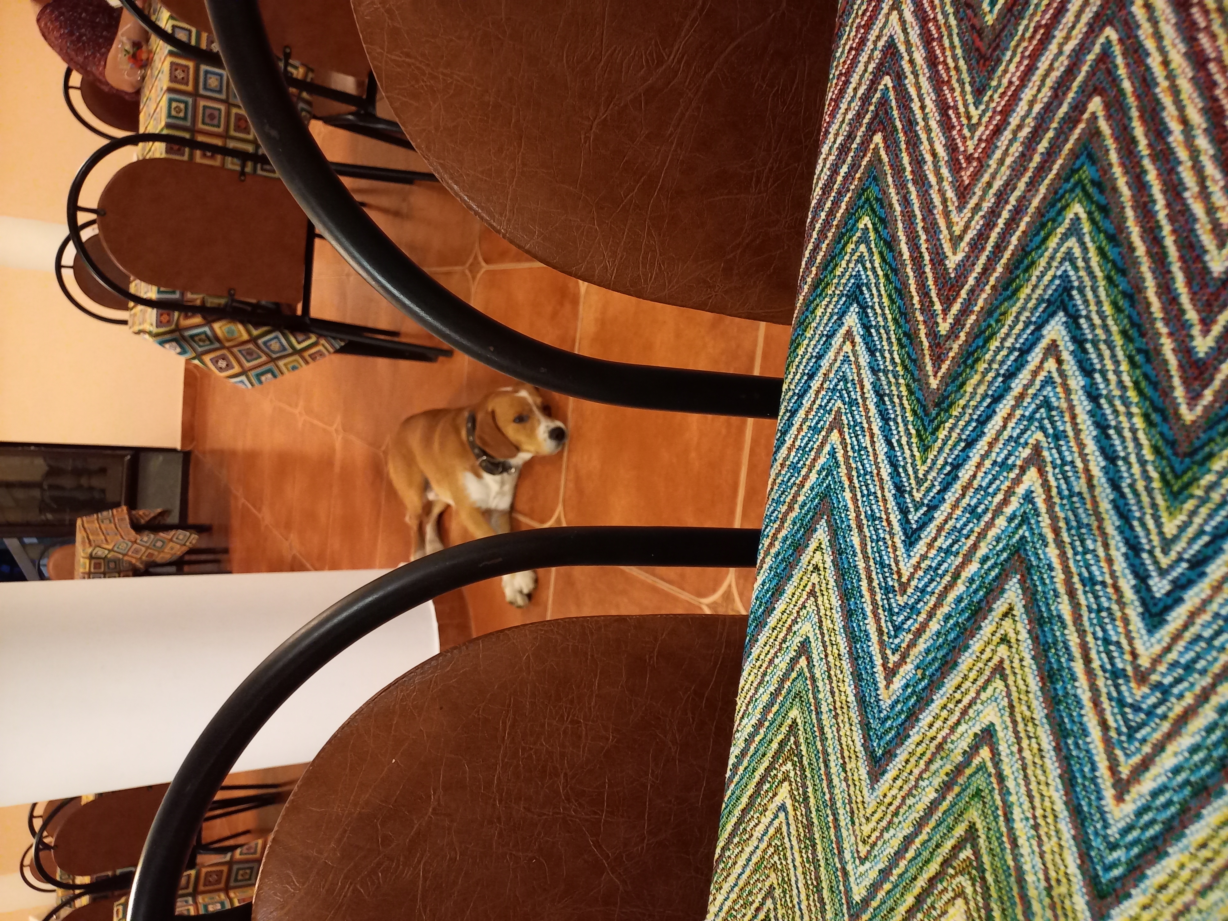 Фото Дени Дельмар