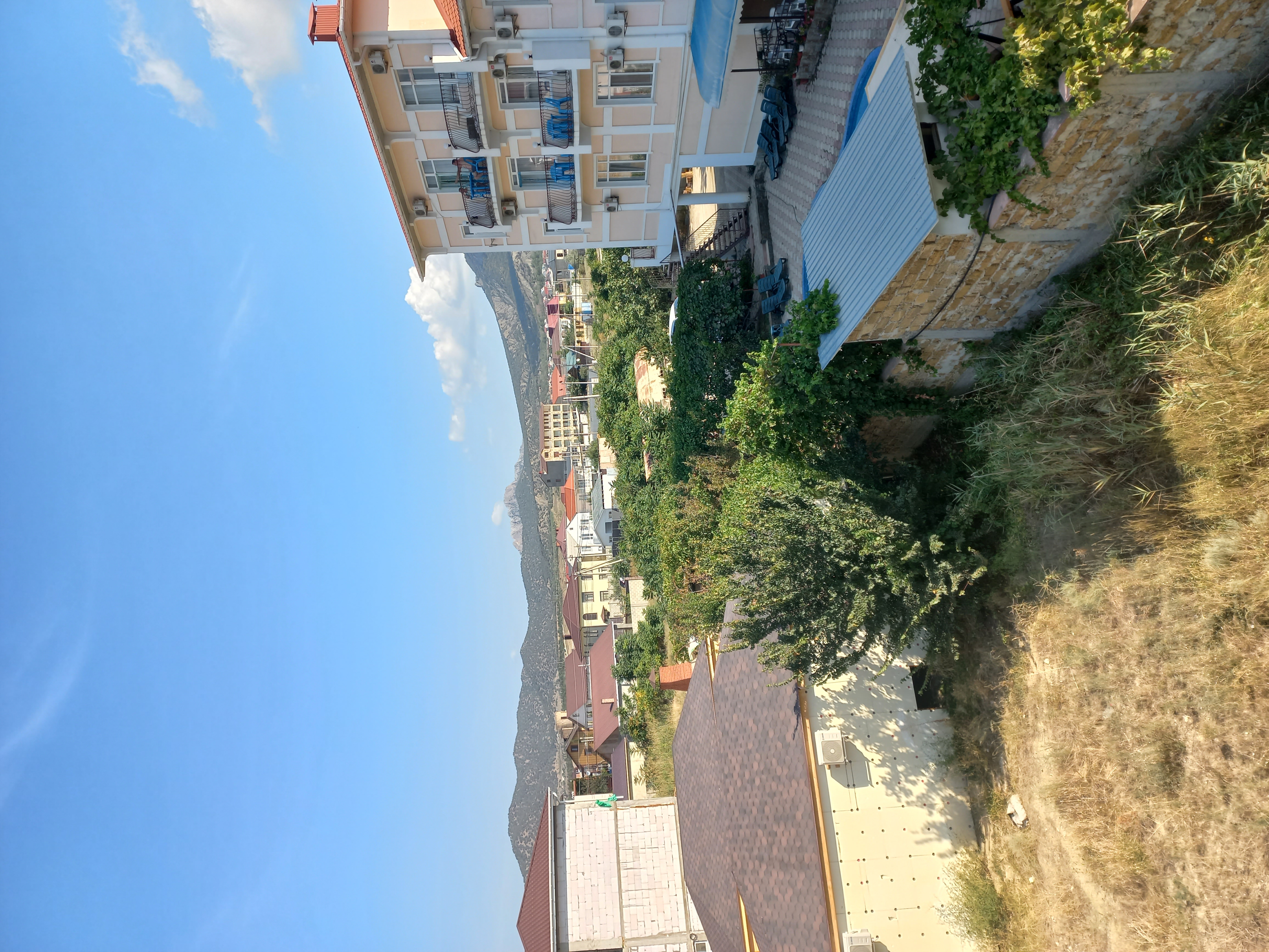 Фото Каштан