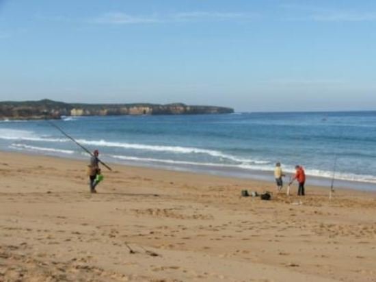 Фото Seahorse Coastal Villas