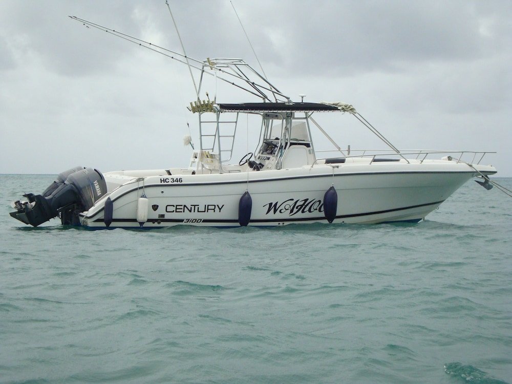 Фото Villa Bedier