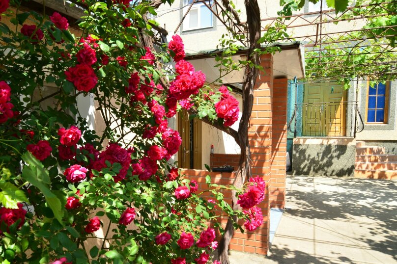 Фото Ласточка