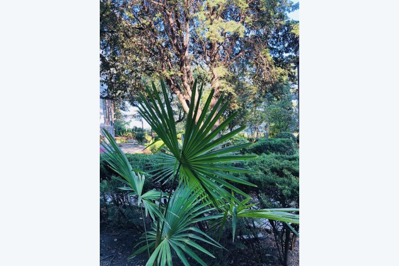 Фото Олива Парк