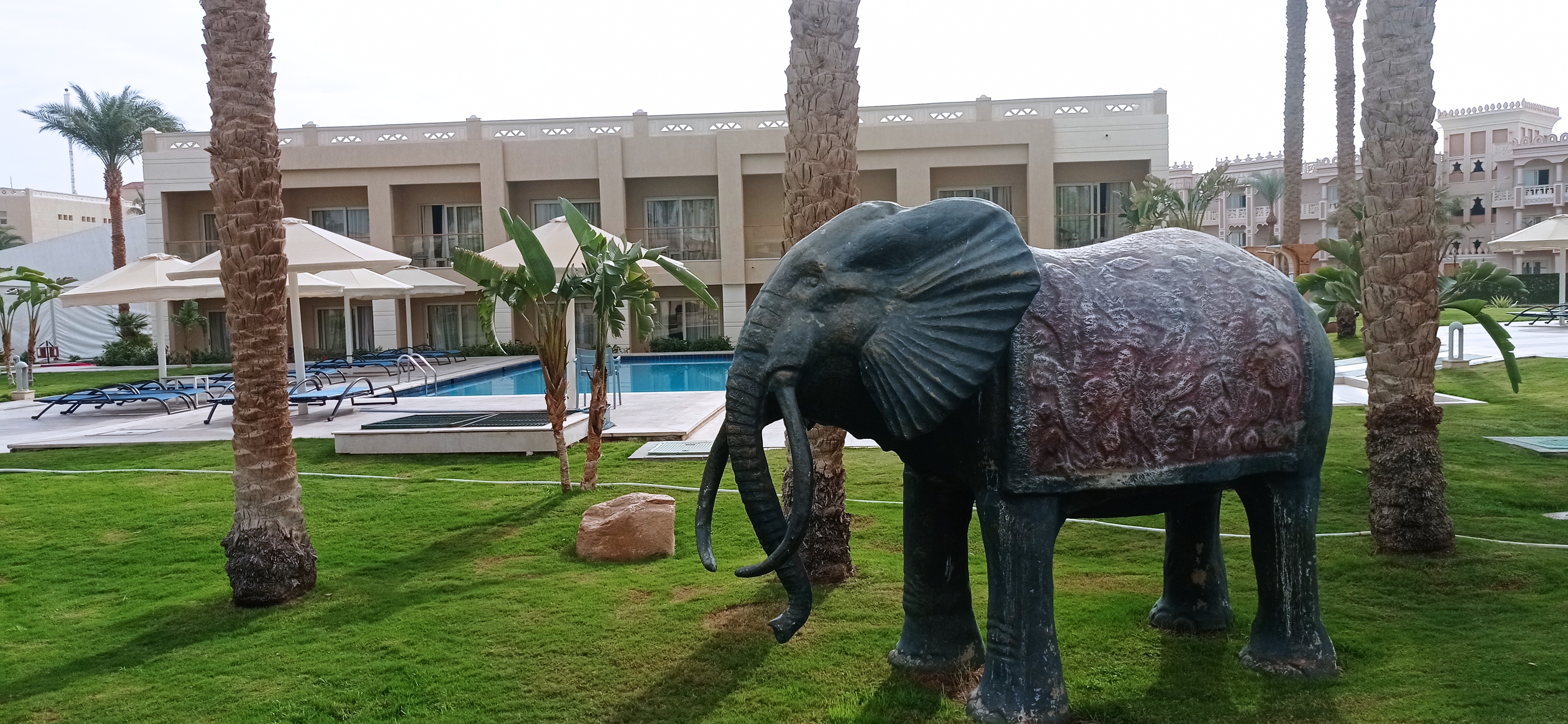 Фото Бич Альбатрос Резорт