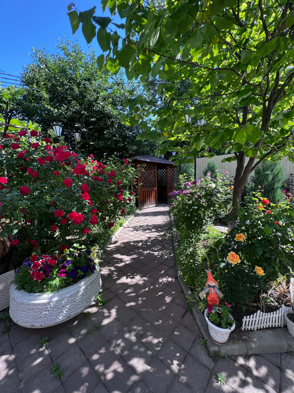 Фото Вальяно