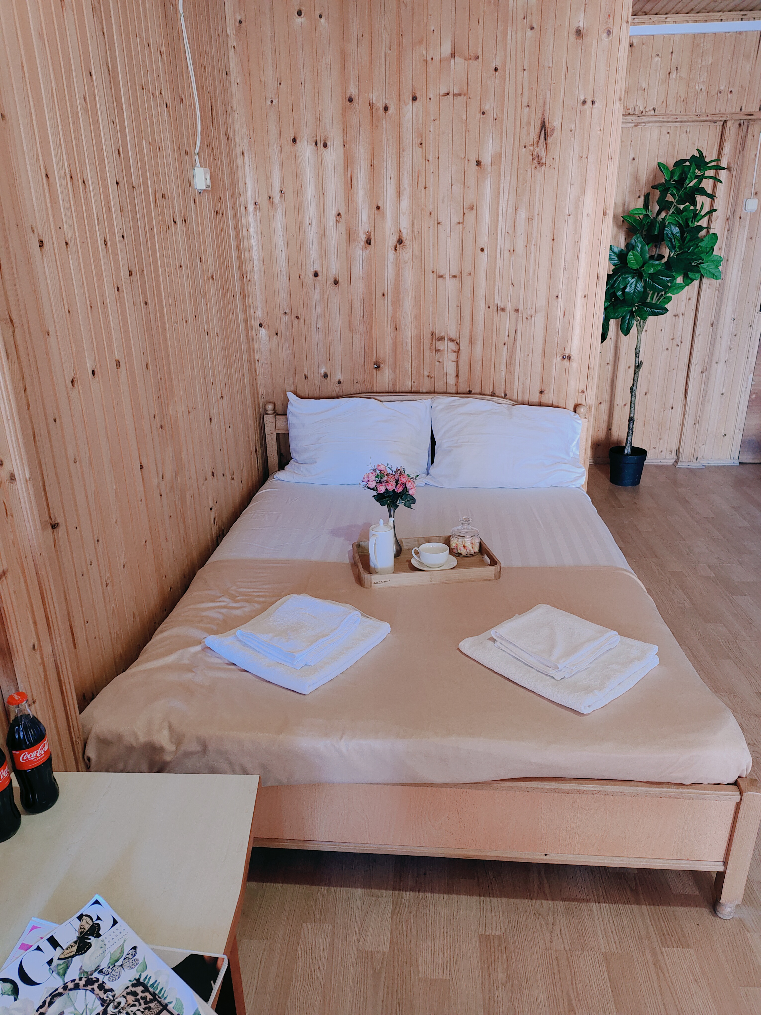 Фото Солнечный берег