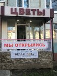 Rozawhite (Ryabikova Street, 61/37), flower shop