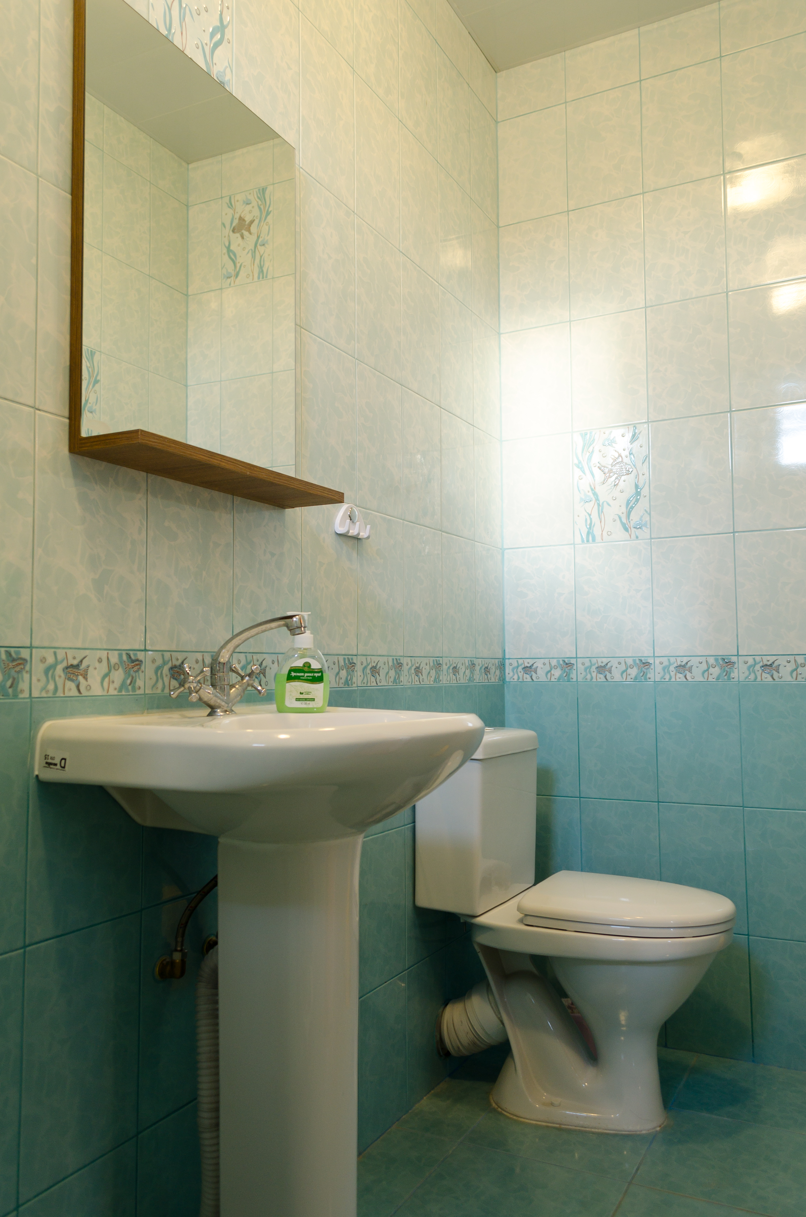 Фото Глициния