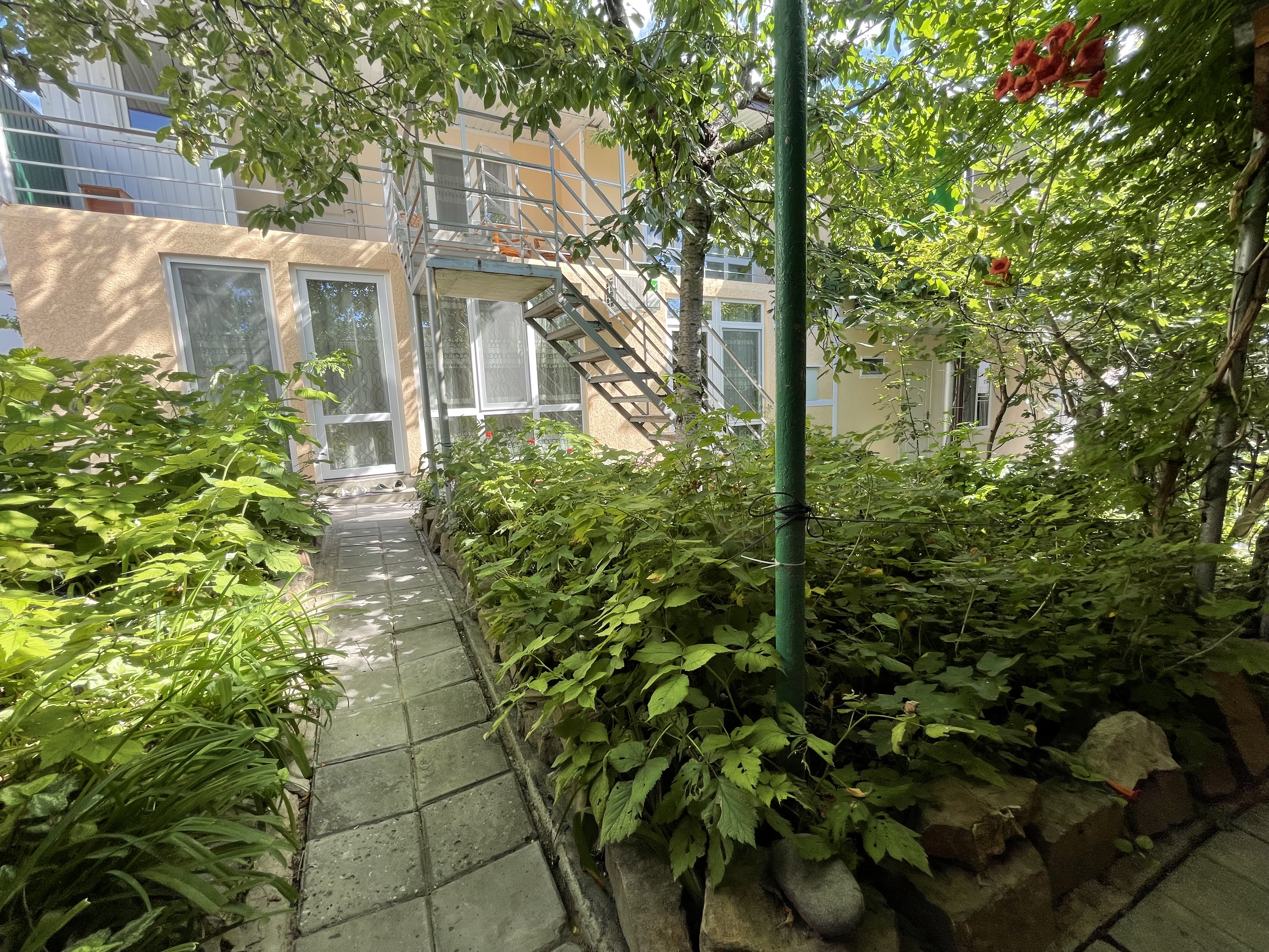 Фото Николь