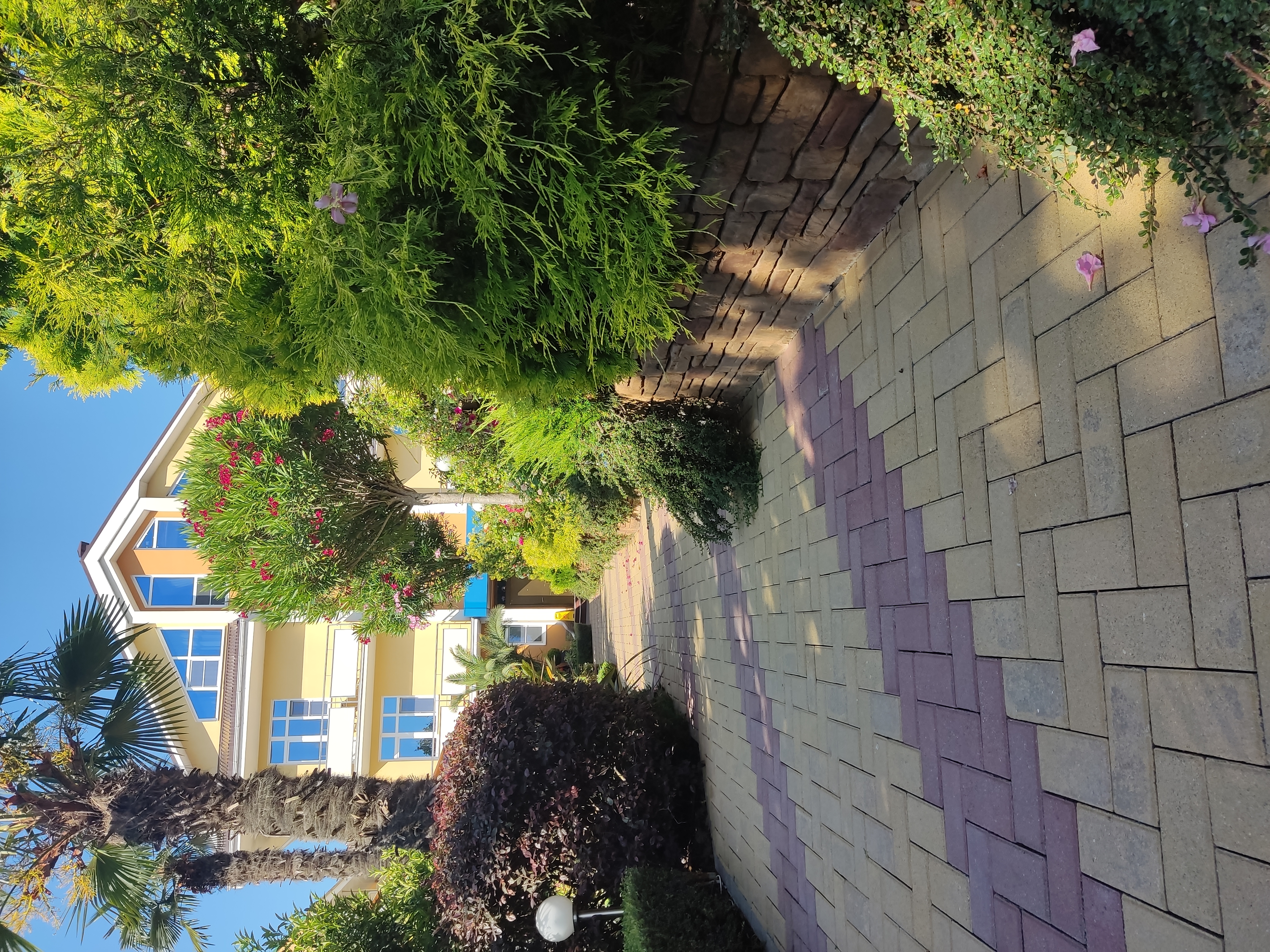 Фото Дельфин