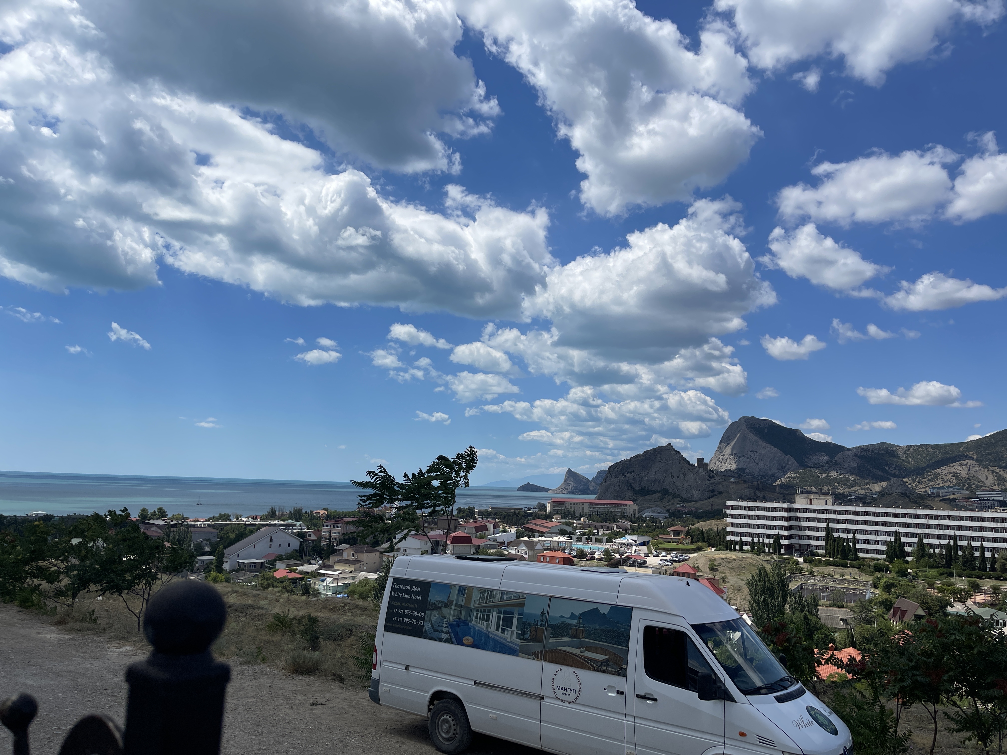 Фото Белый лев