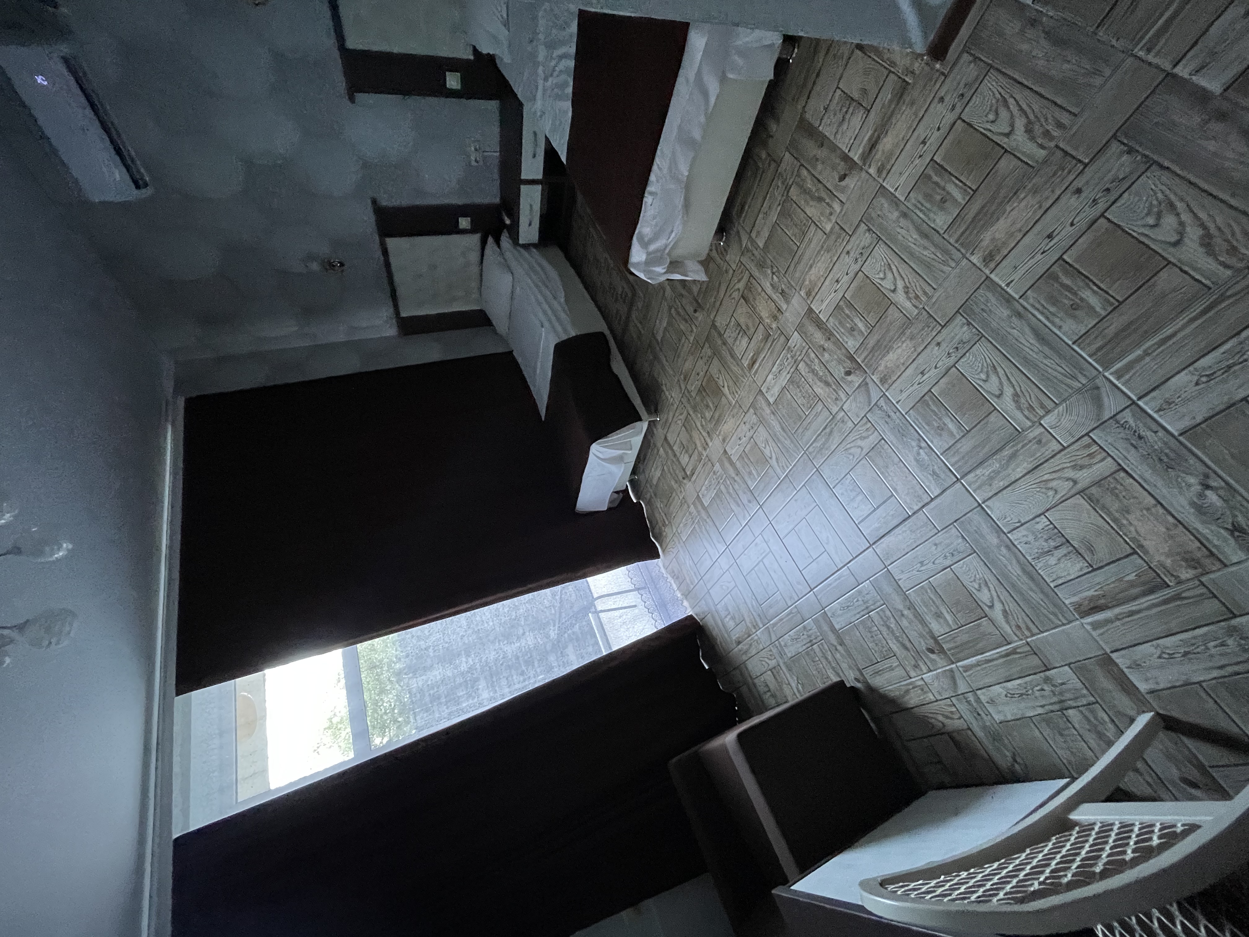 Фото Ленивый тюлень