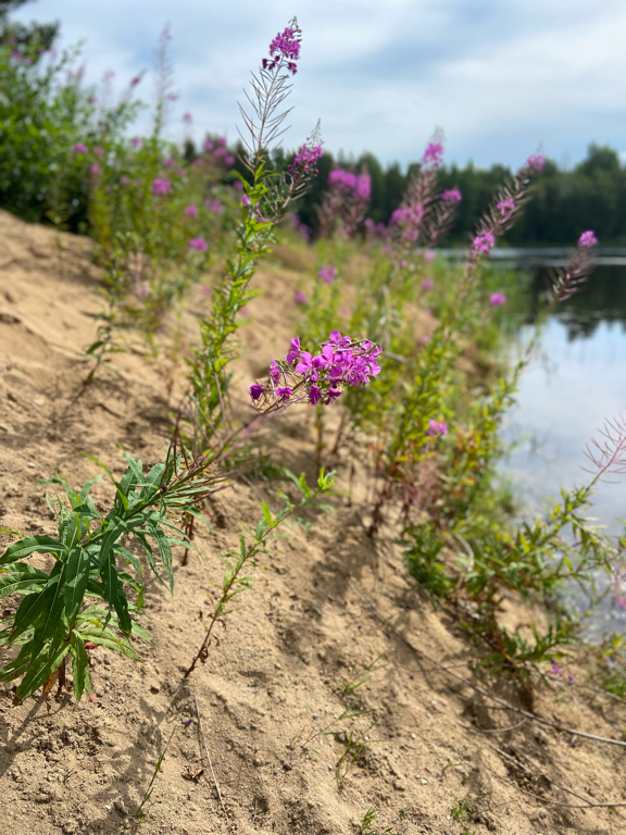 Фото Усадьба Коноваловых